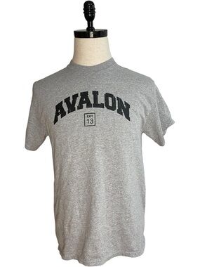 Avalon New Jersey Graphic Tee “Exit 13” Detail Gray